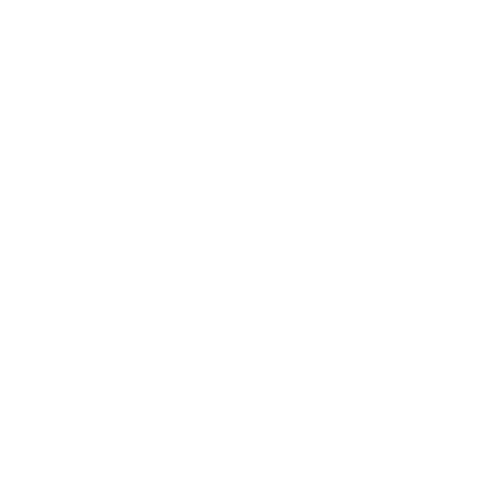 simbolo escudo com verificação ao centro
